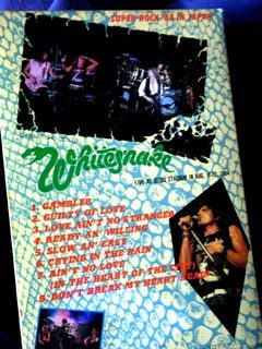 whitesnake-84back.jpg